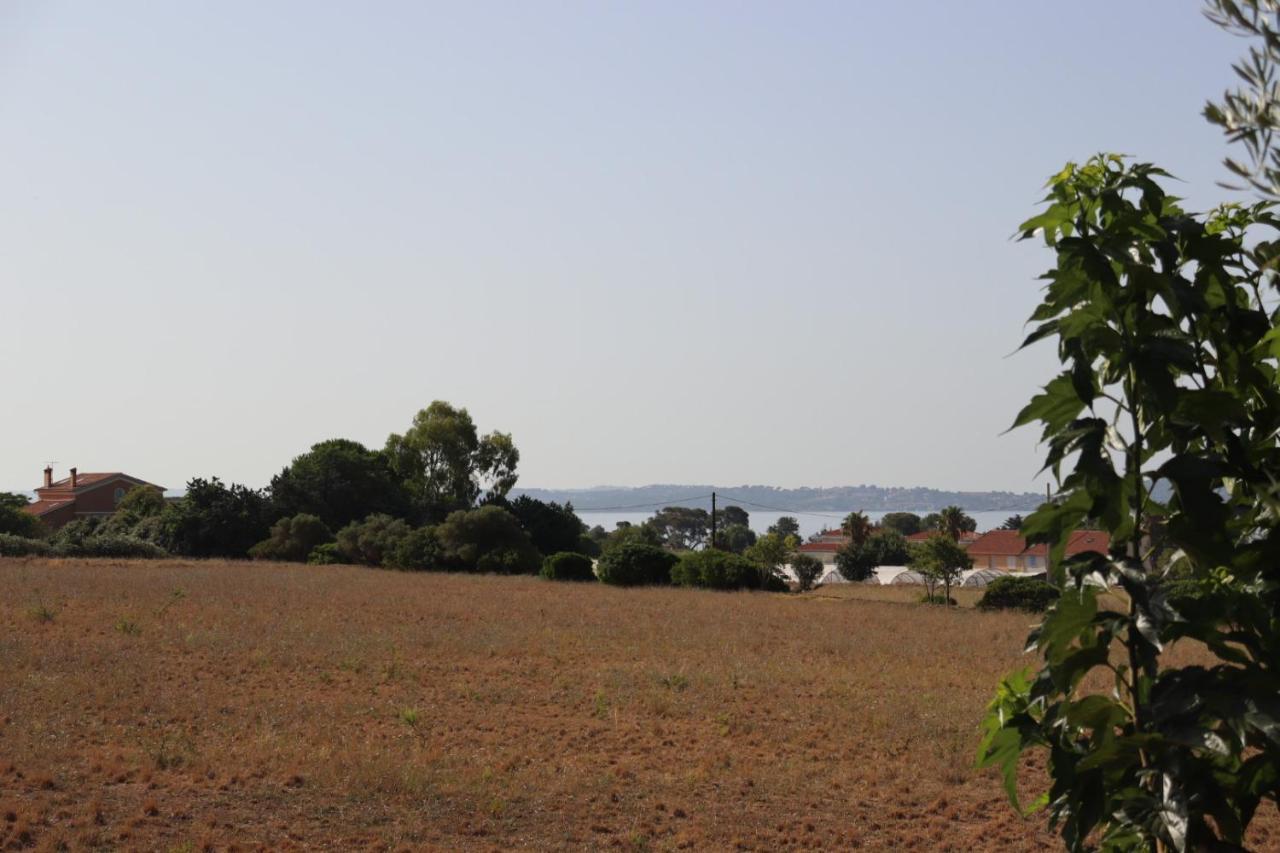 Le Petit Sud Appartement Carqueiranne Buitenkant foto